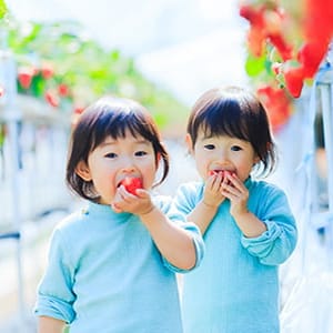 3歳までの歯医者デビューの大切さ