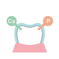 再石灰化の促進