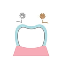 むし歯菌の活動を抑制