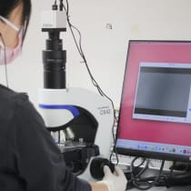 位相差顕微鏡による検査