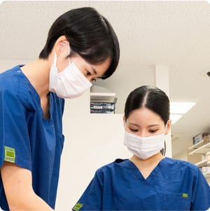 クリニックのスタッフが患者の口腔内を検査