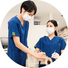 先輩が治療に関してアドバイス